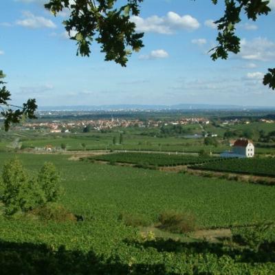 Gemeinde